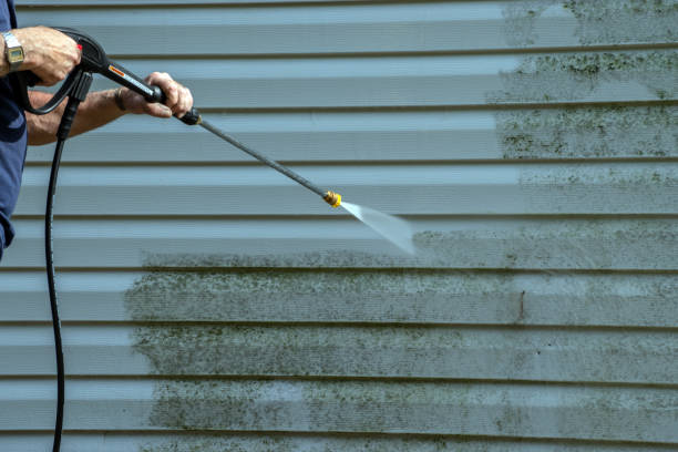 Best Graffiti Removal  in Douglas, AL